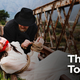 Image for article titled Report: Amtrak Loses $100 Million Annually To Route Interruptions Caused By Mustachioed Villains Tying Kidnapped Damsels To Railroad Tracks